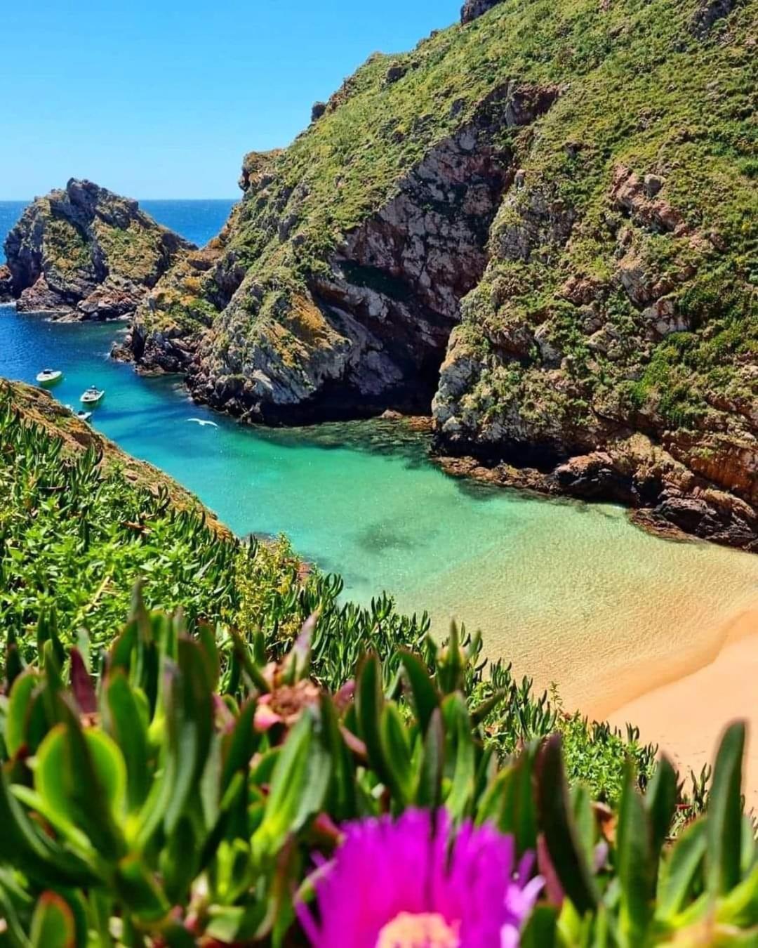 Tininha Da Ilha - Peniche Beach Escape Екстериор снимка